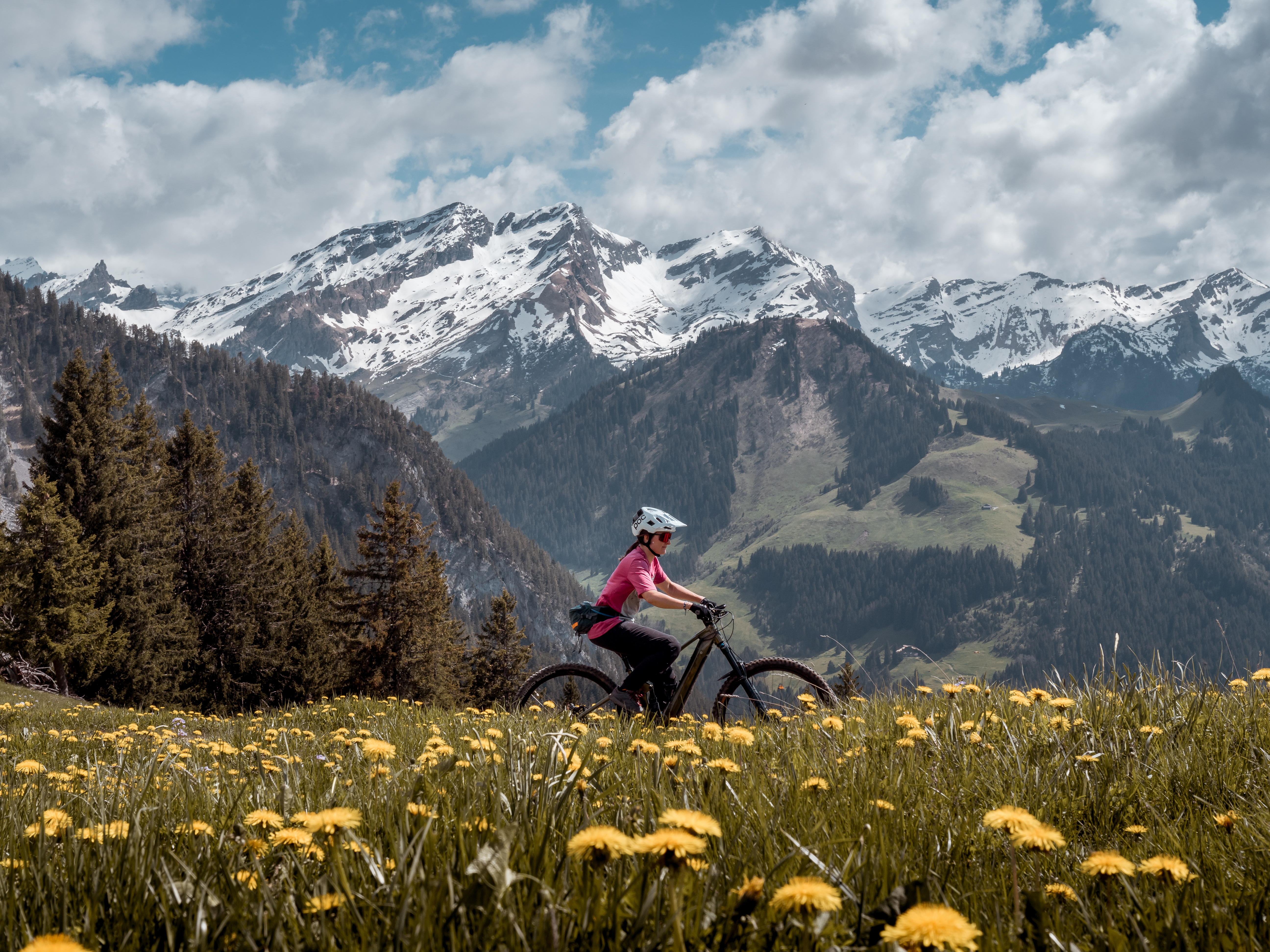 Bike Day Trip Tours